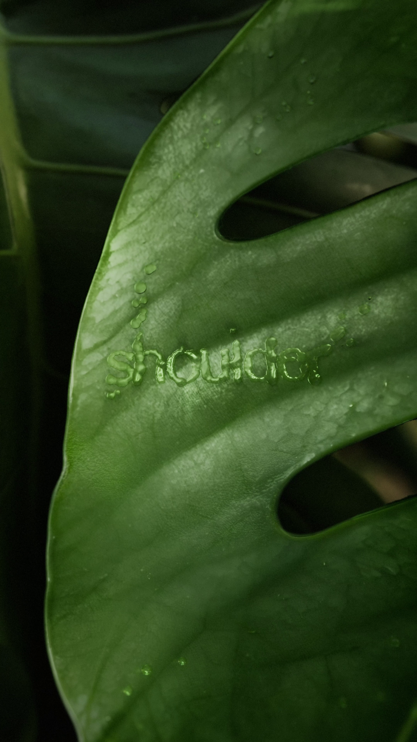 Shoulder 3D Campaign